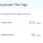 audit-report-duplicate-title-tags