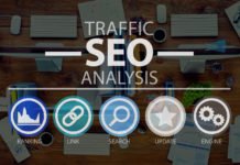 Five Reasons why People Love SEO Expert SEO Expert In Noida