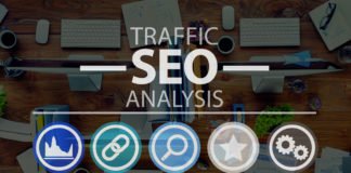 Five Reasons why People Love SEO Expert SEO Expert In Noida