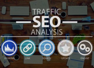 Five Reasons why People Love SEO Expert SEO Expert In Noida