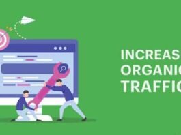 6 Best Tactics to improve Organic Traffic on your WordPress website improve Organic Traffic